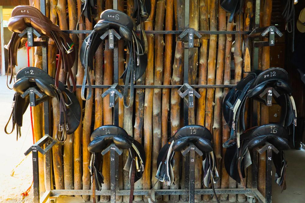 horse saddles resting on racks