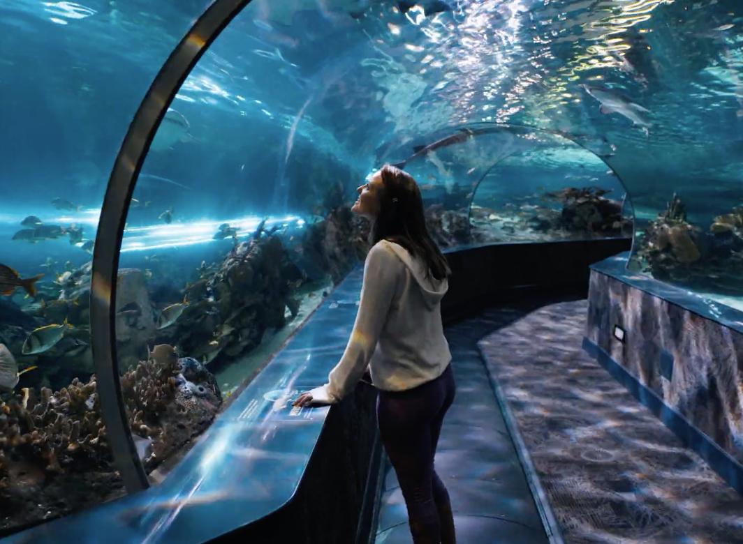Girl standing amidst clear tunnel with fish swimming all around