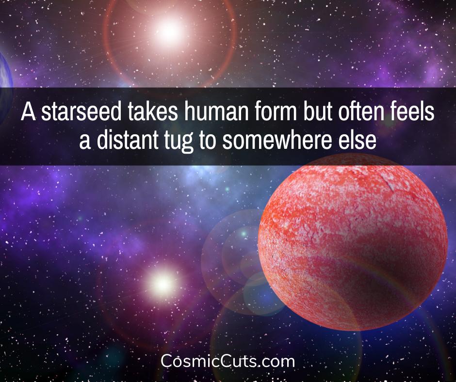 What is a Starseed?