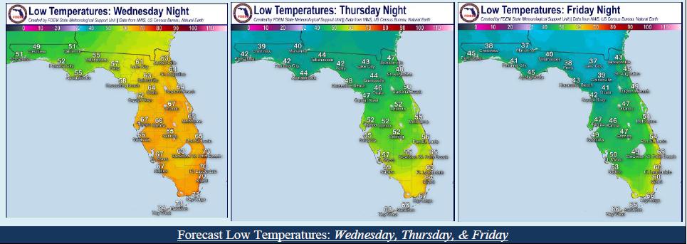 Overnight lows Wednesday through Friday across Florida.