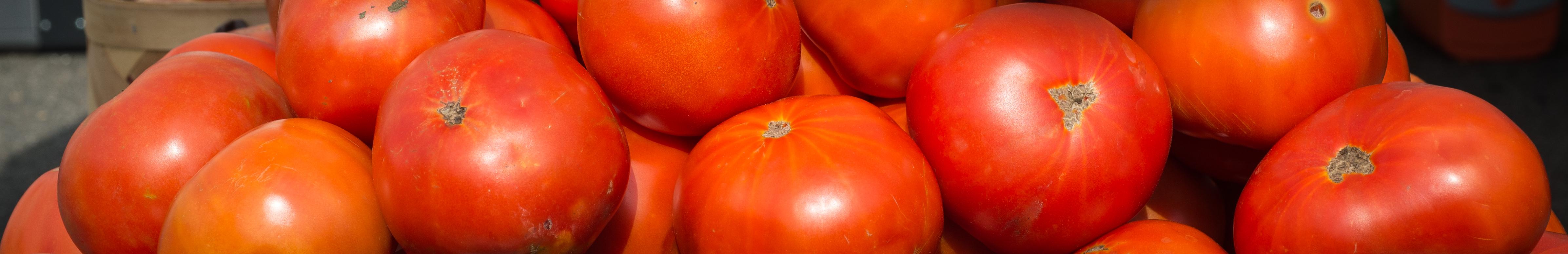 A box of mixed tomato varieties. Photo: Celine Richard