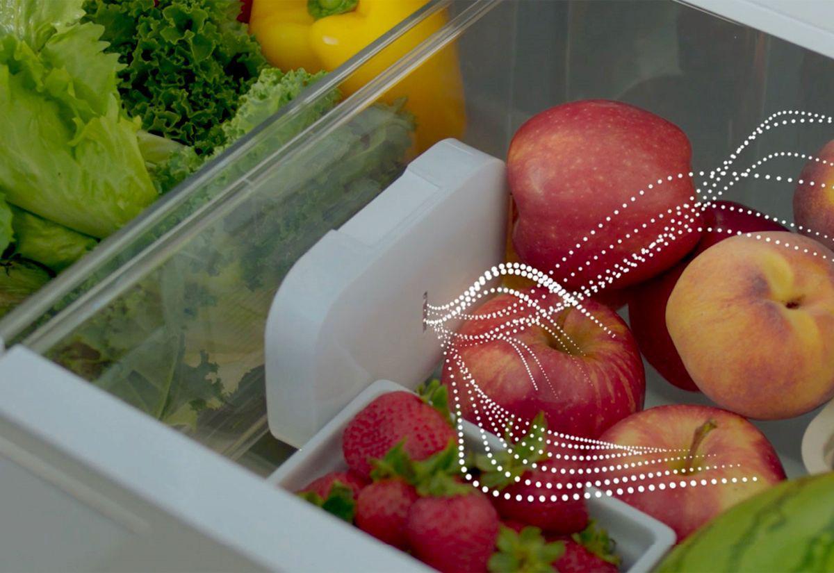 bosch-refrigerator-food-preservation