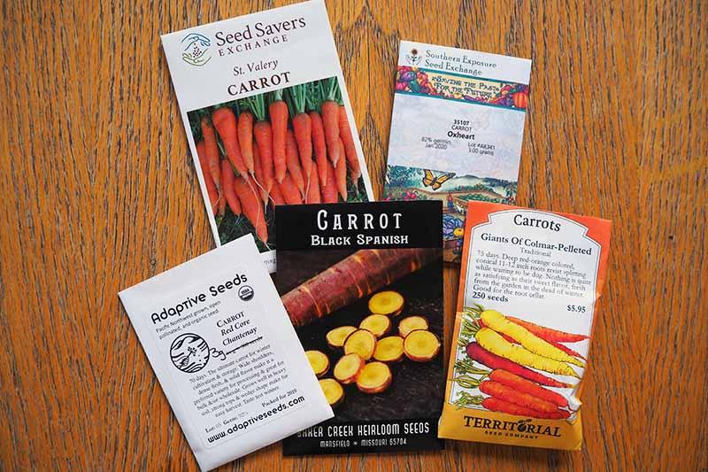 A close up of various seed packets of heirloom and open-pollinated carrot varieties set on a light colored wooden surface.