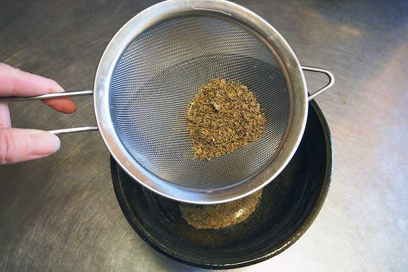 A hand from the left of the frame is holding a sieve over a dark ceramic bowl, separating out the dry dusty chaff from the seeds harvested from a carrot flowerhead.