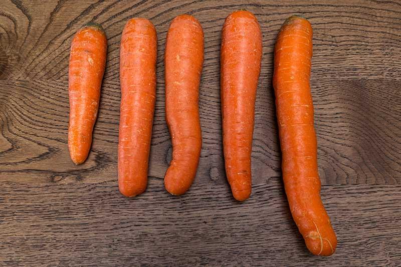 A selection of five different carrots, each of a different length, set on a wooden surface.