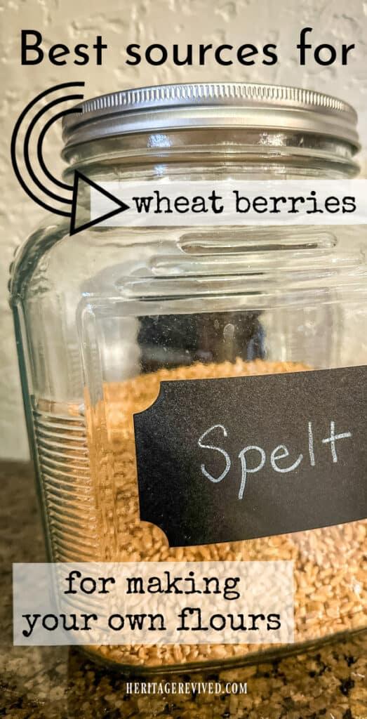 A gallon jar of spelt grain with text "Best sources for wheat berries for making your own flours"