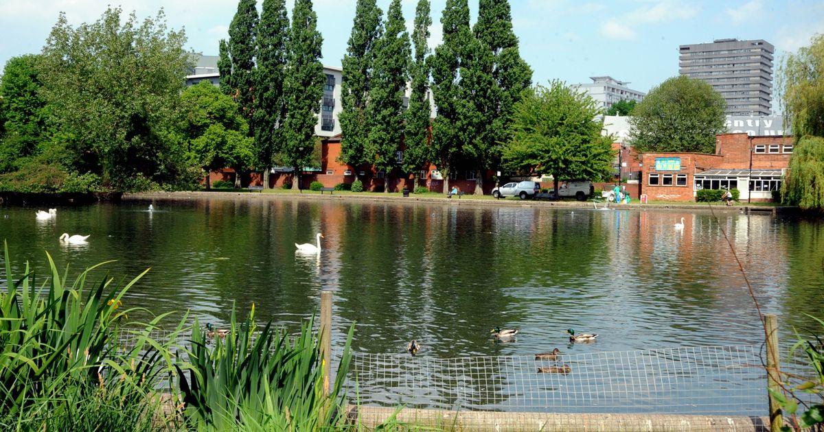 Places to Feed the Ducks in Coventry