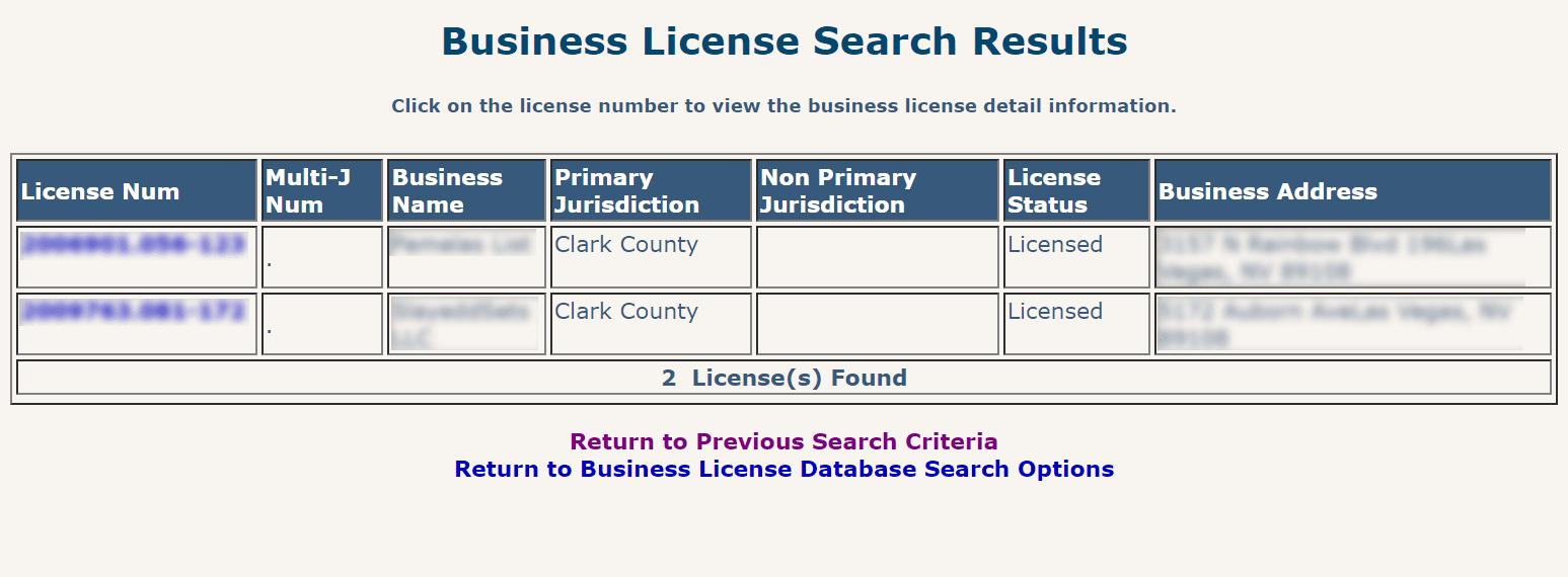 Screenshot of search business from clarkcountrynv website