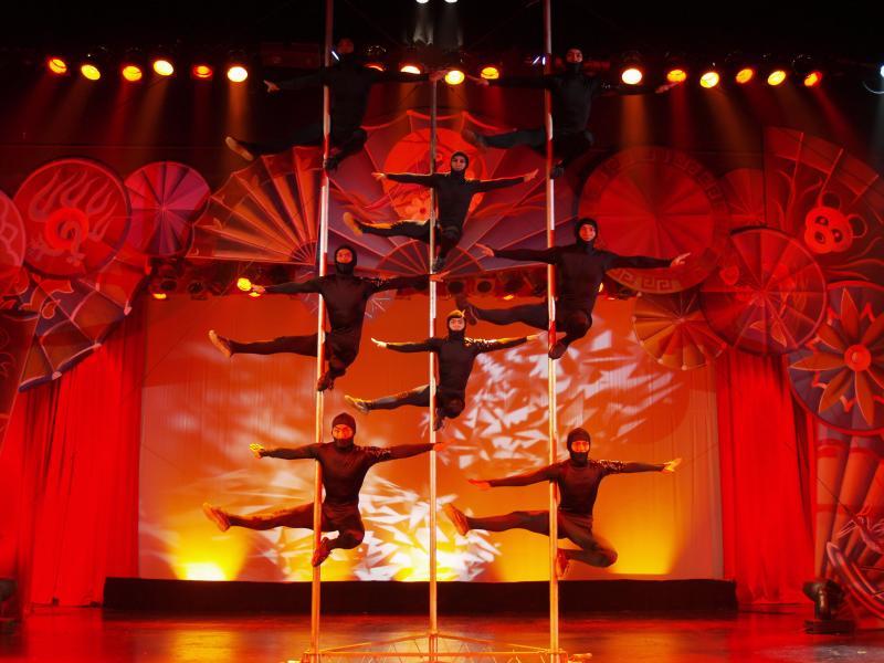 A history of modern pole dance