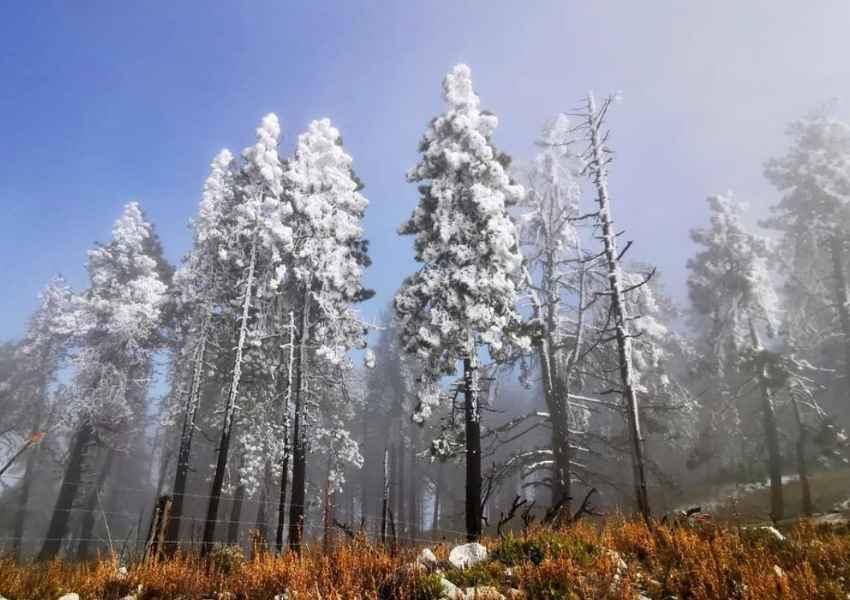 snow in mexico