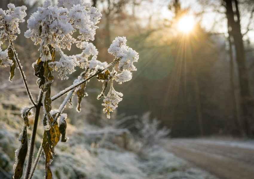 snow in mexico -