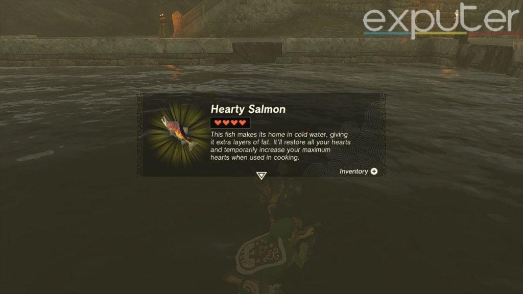 hearty salmon