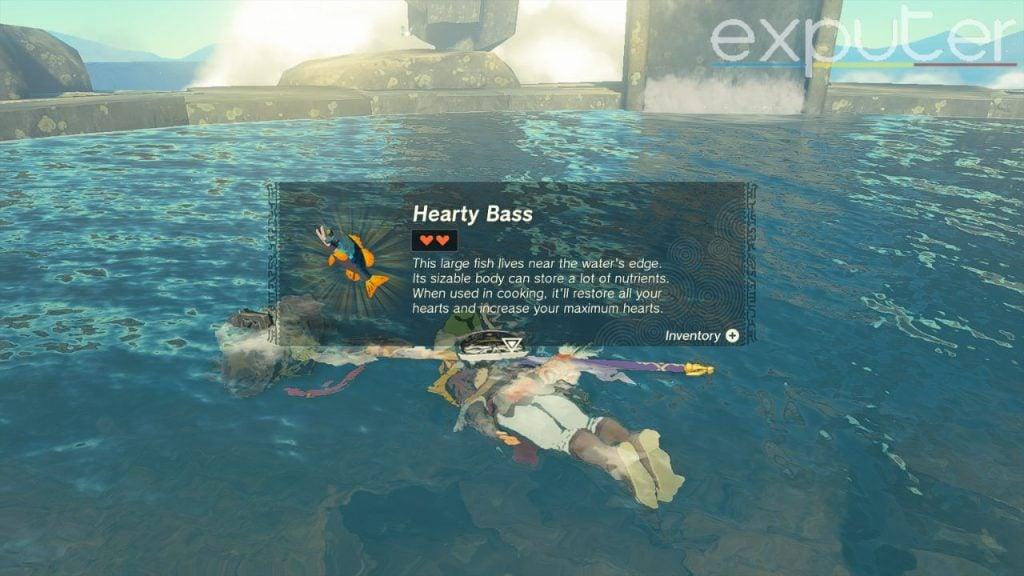 hearty bass