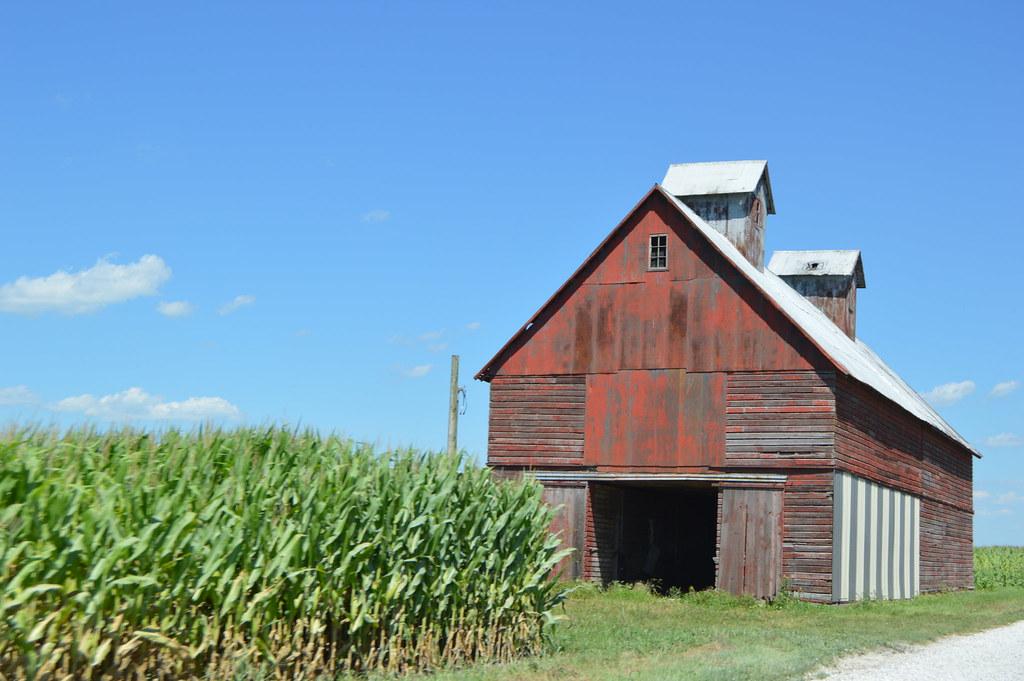 Cornfield and barn - Pine Township, Indiana