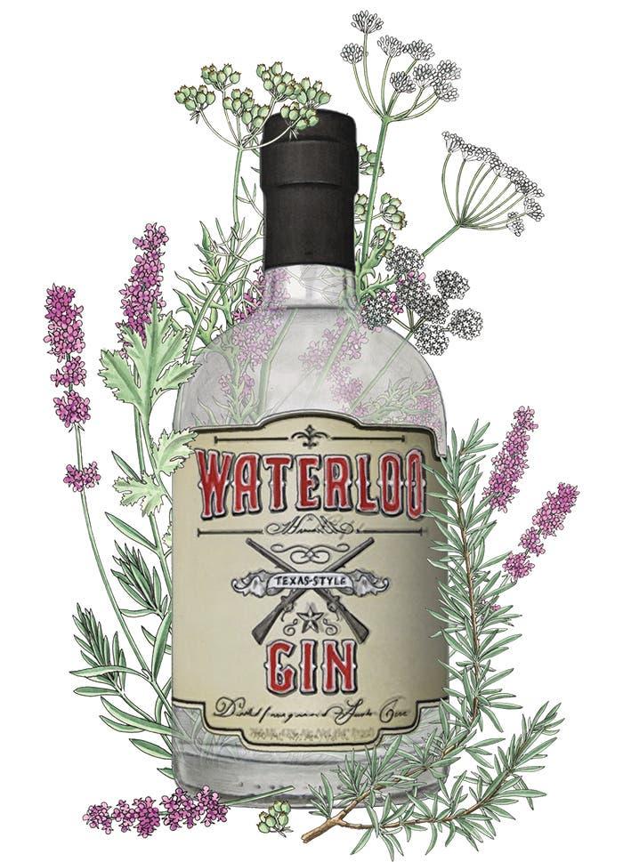 Waterloo gin bottle illustration