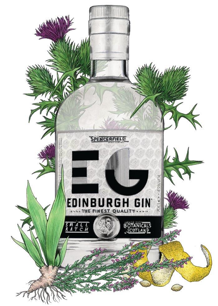 Edinburgh gin bottle illustration