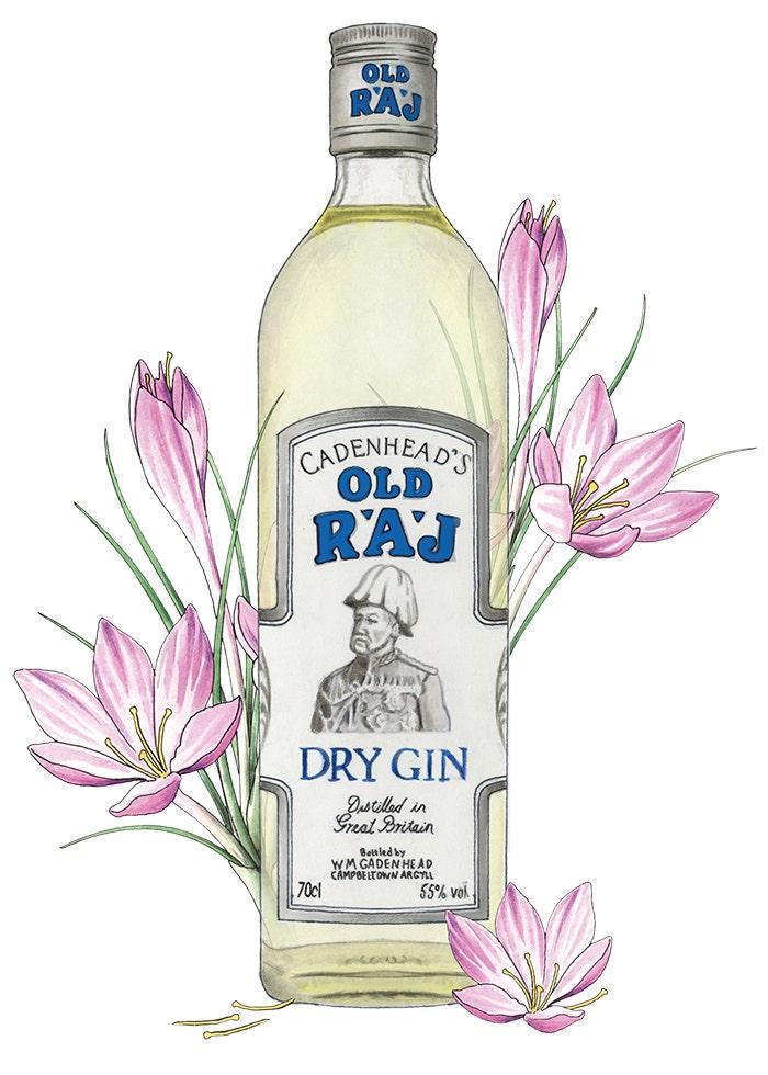Old Raj Dry Gin bottle illustration