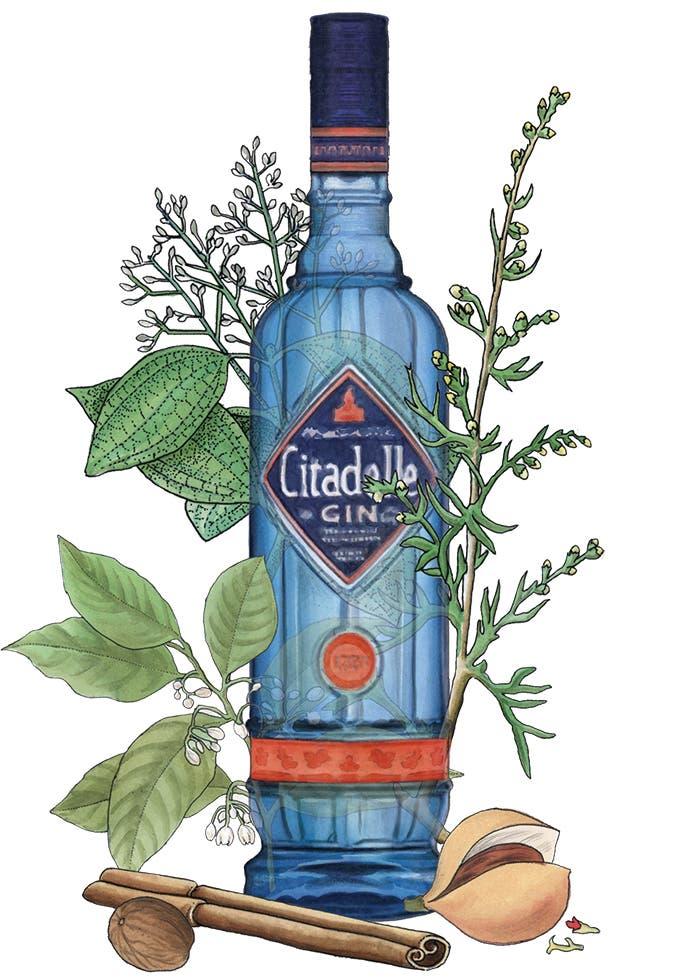 Citadelle Gin bottle illustration