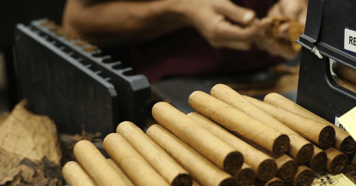 hand rolled cigars after being freshly rolled