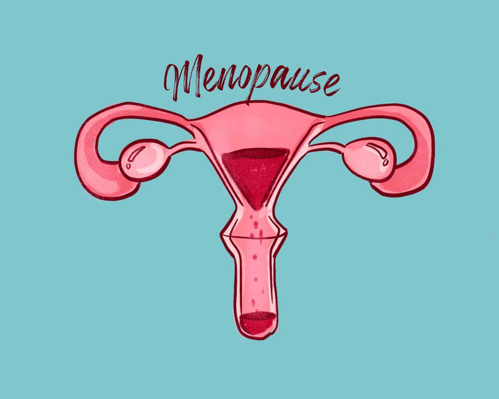 Menopause and Clitoral Atrophy