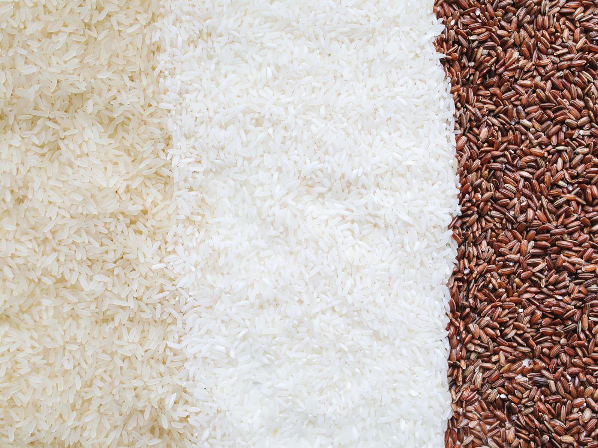 Rice Varieties