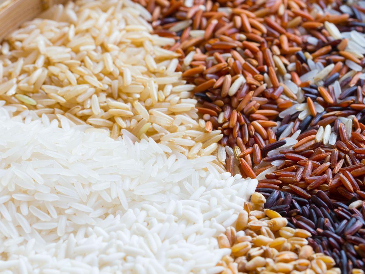 Rice Varieties