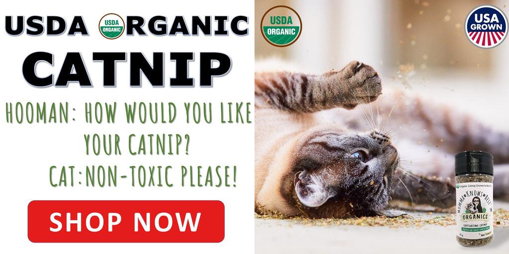 USDA organic catnip non-toxic by Momma Knows Best