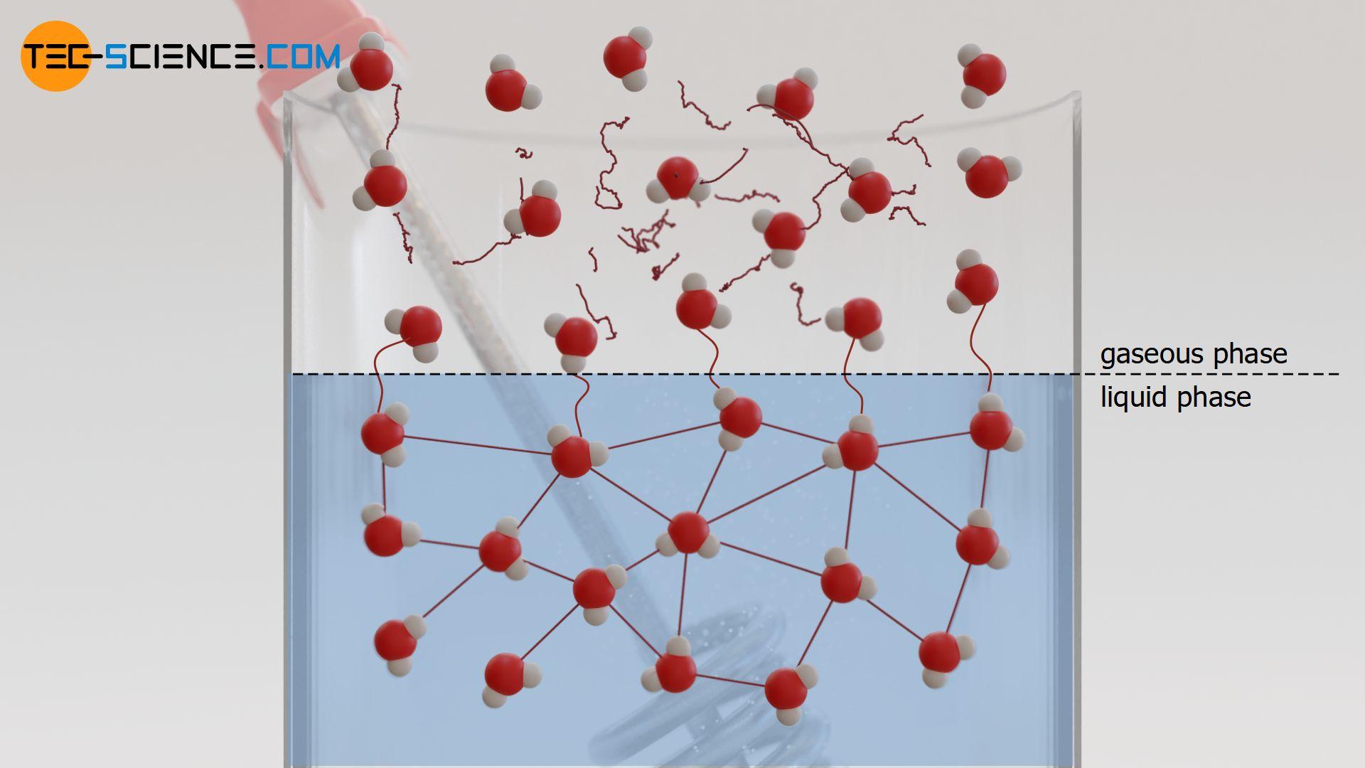 Transition from the liquid to the gaseous phase