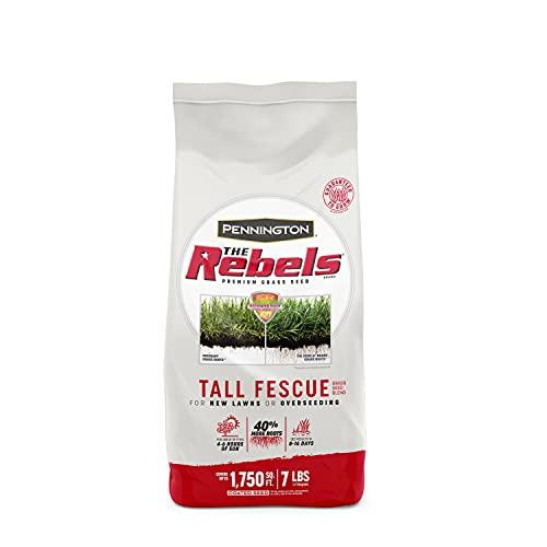 Pennington The Rebels Tall Fescue Grass Seed Blend, 7 Pounds