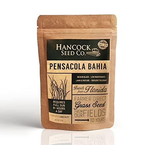 Hancock Seed Company Hancock
