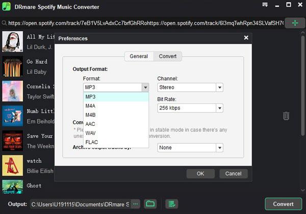 adjust output settings for spotify songs