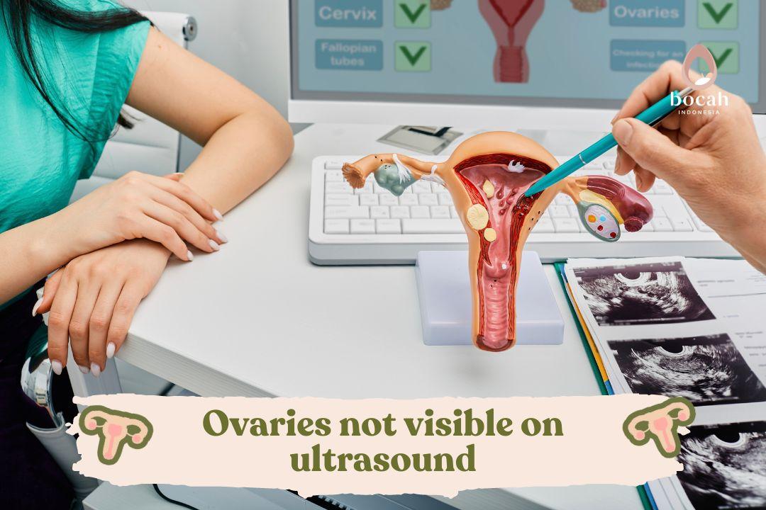 Ovaries not visible on ultrasound