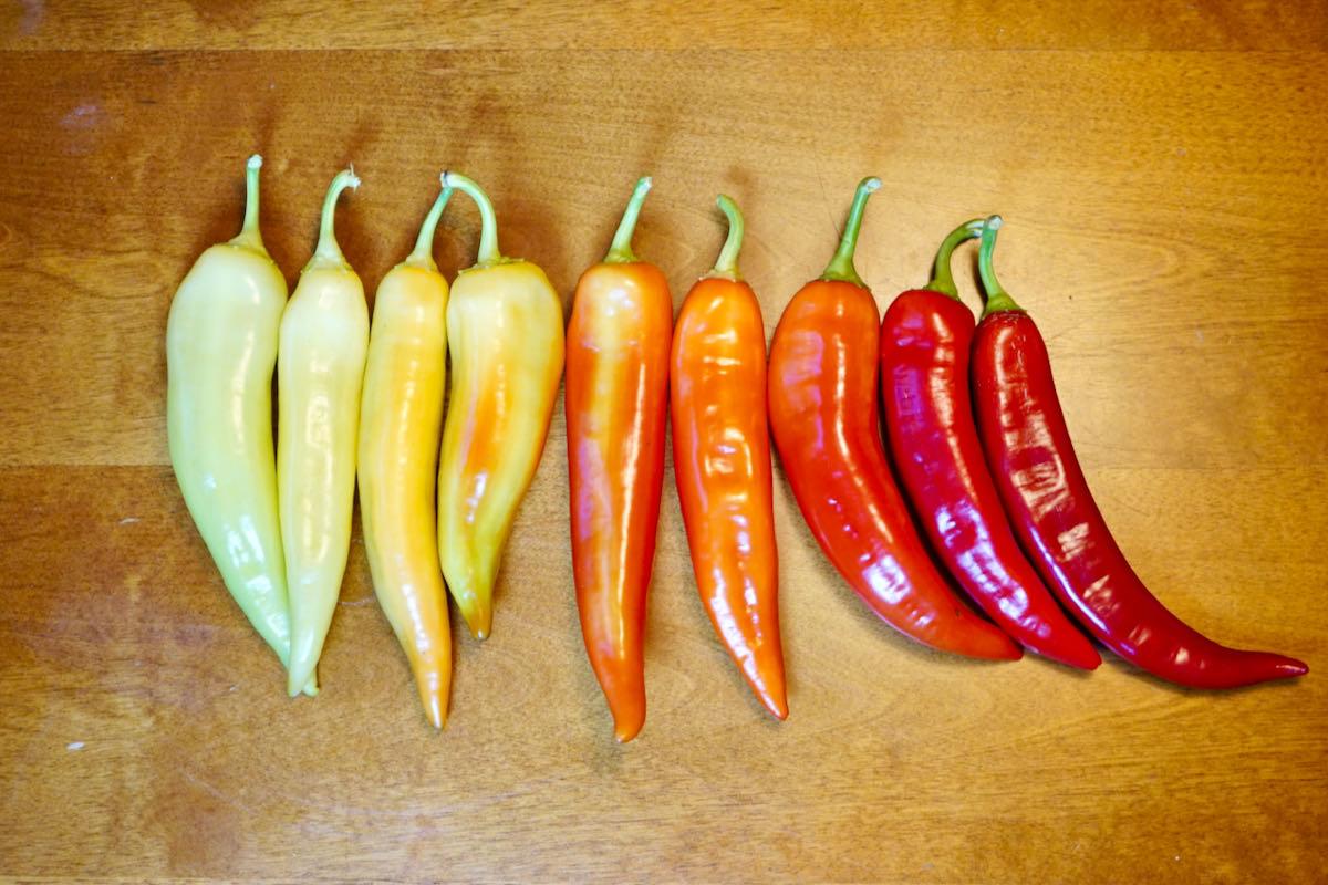 Banana peppers from unripe to ripe