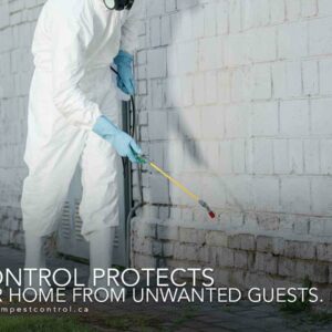 Where Does Pest Control Spray In House