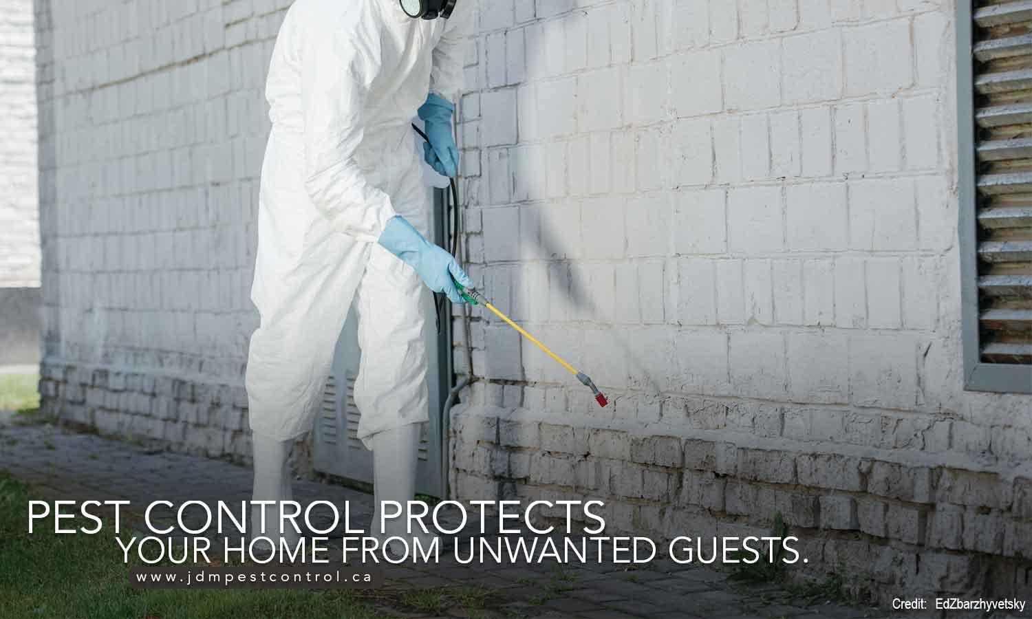 Pest control protects your home from unwanted guests.