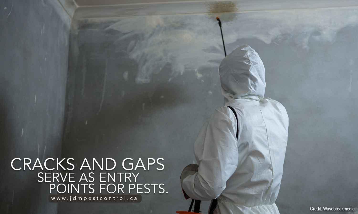 Cracks and gaps serve as entry points for pests.