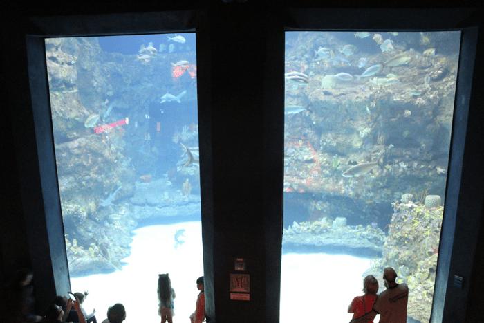 The Last Song Aquarium Fort Fisher