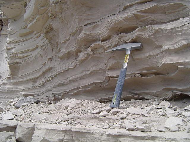 Rock has many fossils throughout