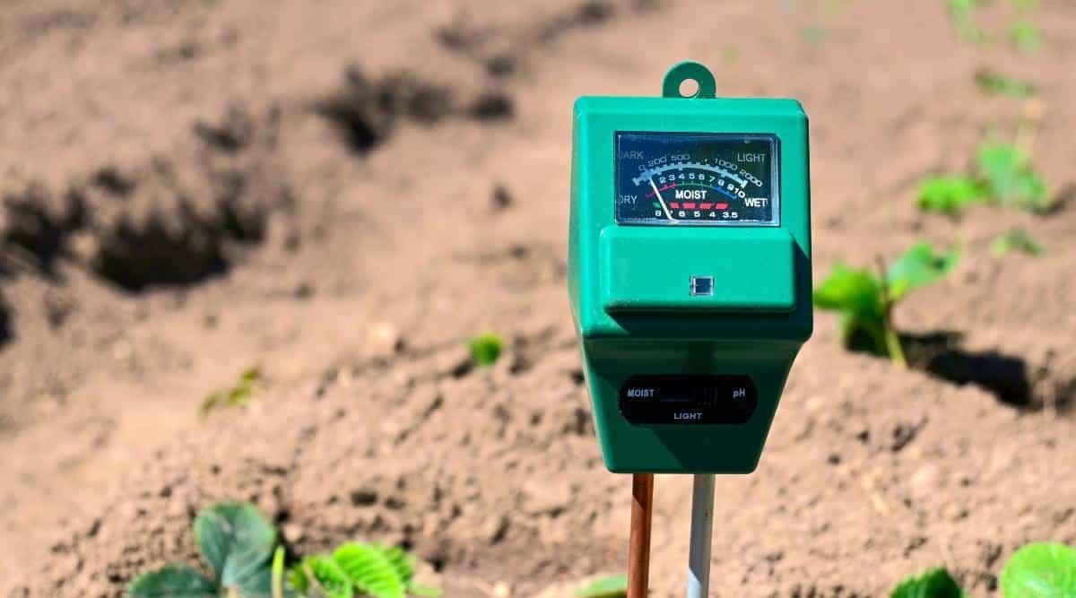 soil pH meter