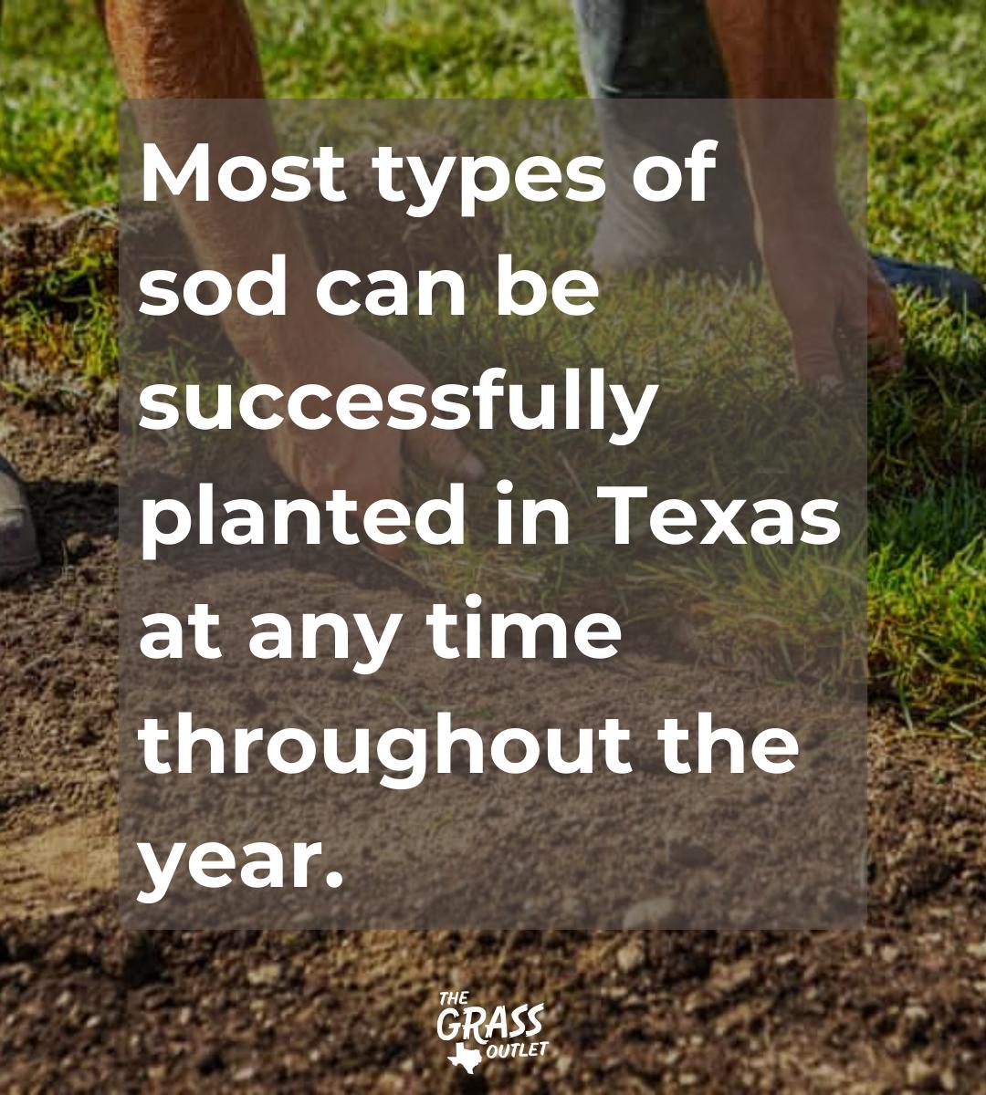 Recommendation when is the great time to lay sod in Texas