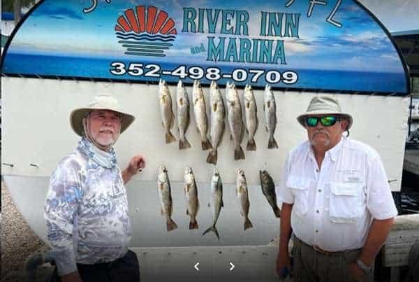 steinhatchee river fishing