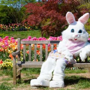 Where To Take Pictures With The Easter Bunny