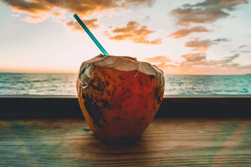 rum drink in a coconut