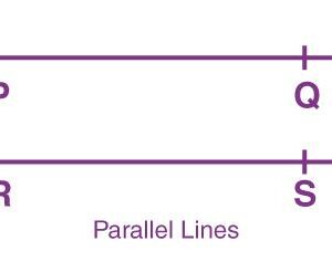 Which Lines Are Parallel Check All That Apply