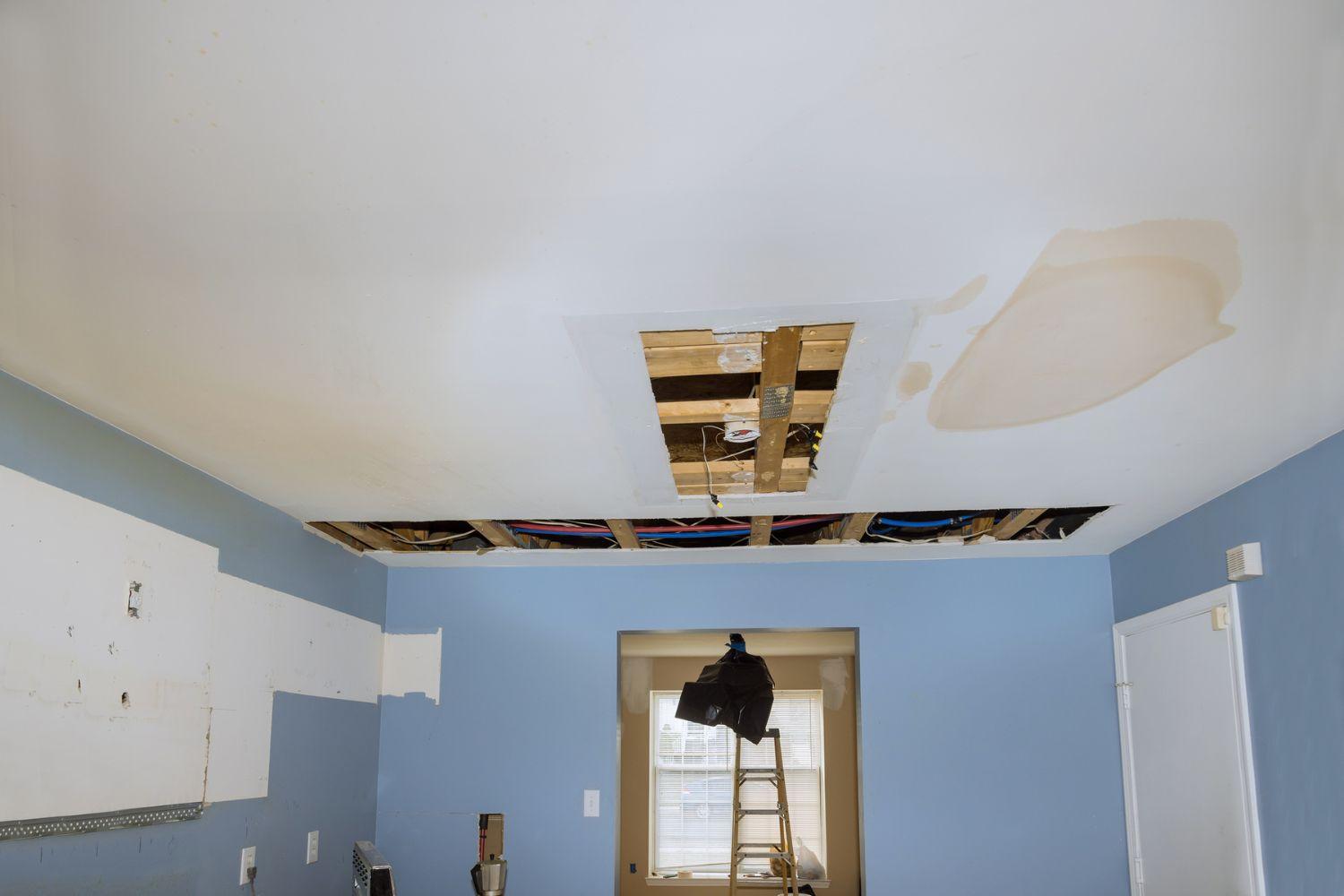 Who to Call for Water Leak in Ceiling