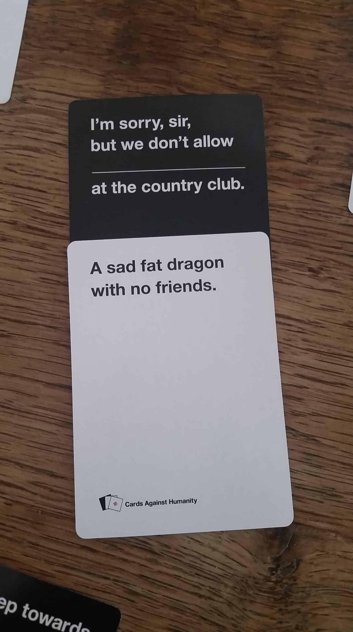 a-sad-fat-dragon-with-no-friends-cards-against-humanity-combination